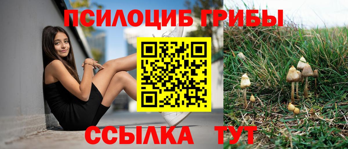 Саяногорск  Галлюциногенные грибы мицелий  Вход с VPN 